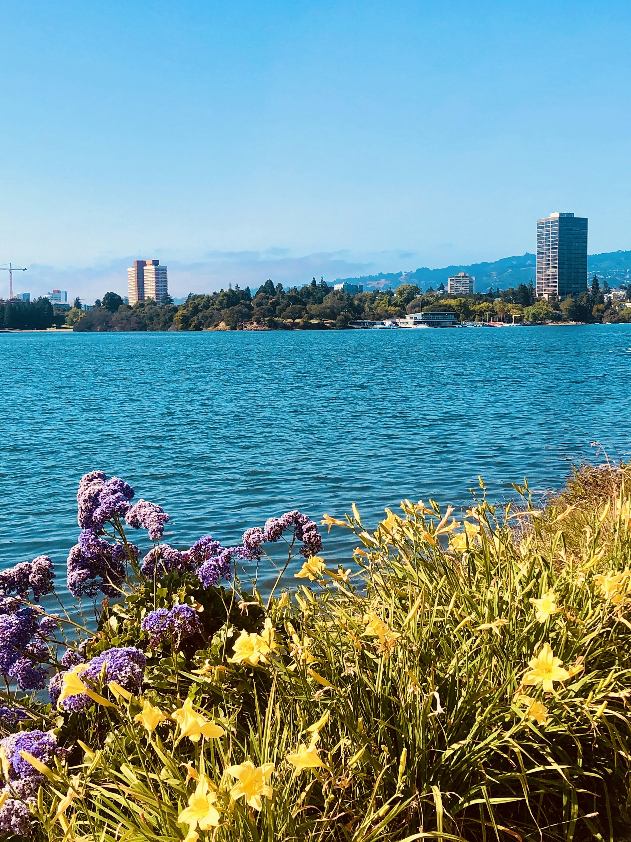 Lake Merritt waterfront